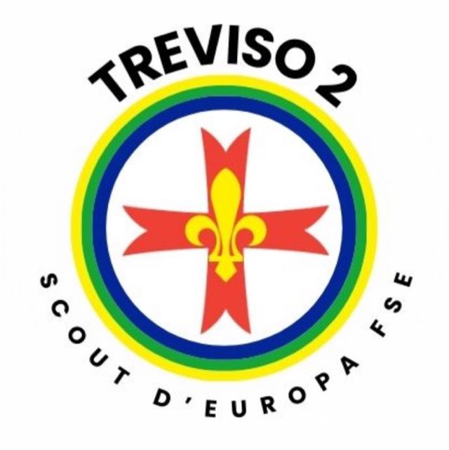 Gruppo Treviso 2 - FSE